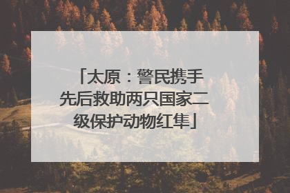 太原：警民携手 先后救助两只国家二级保护动物红隼