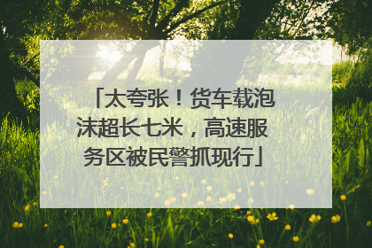 太夸张！货车载泡沫超长七米，高速服务区被民警抓现行