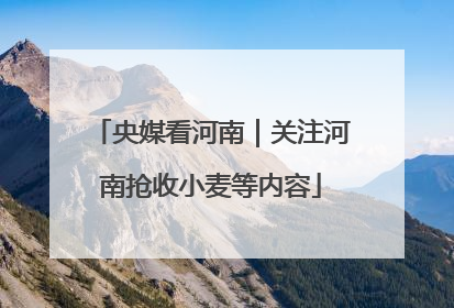 央媒看河南｜关注河南抢收小麦等内容