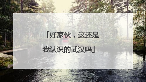 好家伙，这还是我认识的武汉吗