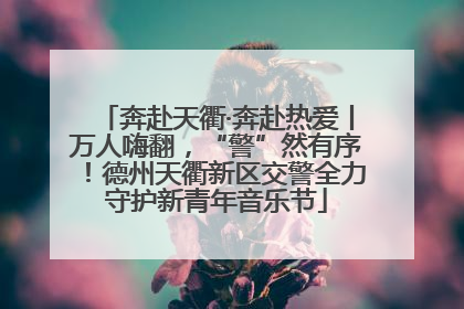 奔赴天衢·奔赴热爱丨万人嗨翻，“警”然有序！德州天衢新区交警全力守护新青年音乐节