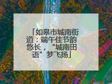 如皋市城南街道：端午佳节韵悠长，“城南田语”梦飞扬