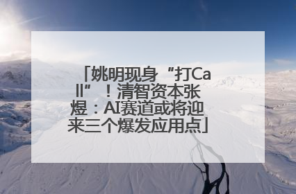 姚明现身“打Call”！清智资本张煜：AI赛道或将迎来三个爆发应用点