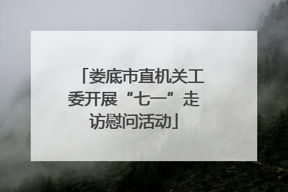娄底市直机关工委开展“七一”走访慰问活动