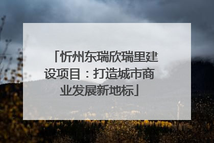 忻州东瑞欣瑞里建设项目：打造城市商业发展新地标