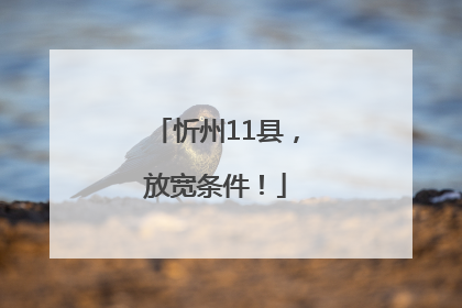 忻州11县，放宽条件！