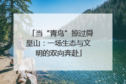 当“青鸟”掠过舜皇山：一场生态与文明的双向奔赴