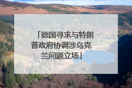 德国寻求与特朗普政府协调涉乌克兰问题立场