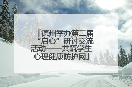 德州举办第二届“启心”研讨交流活动——共筑学生心理健康防护网