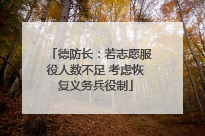 德防长：若志愿服役人数不足 考虑恢复义务兵役制