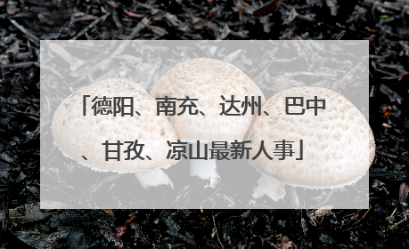 德阳、南充、达州、巴中、甘孜、凉山最新人事
