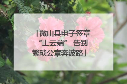 微山县电子签章“上云端” 告别繁琐公章奔波路