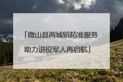 微山县两城镇精准服务助力退役军人再启航