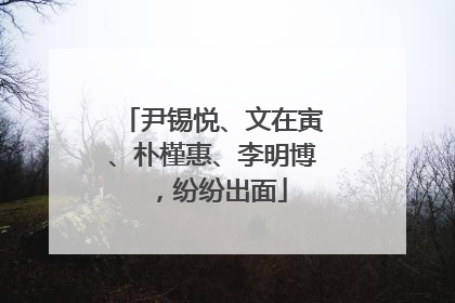 尹锡悦、文在寅、朴槿惠、李明博，纷纷出面