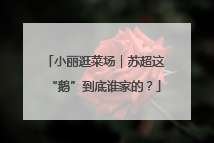 小丽逛菜场｜苏超这“鹅”到底谁家的？