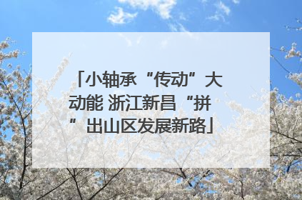 小轴承“传动”大动能 浙江新昌“拼”出山区发展新路