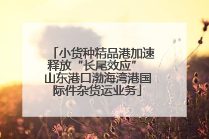小货种精品港加速释放“长尾效应” 山东港口渤海湾港国际件杂货运业务