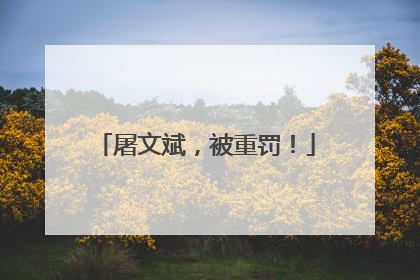 屠文斌，被重罚！