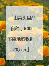 山窝头里产良种，600多亩地增收近20万元