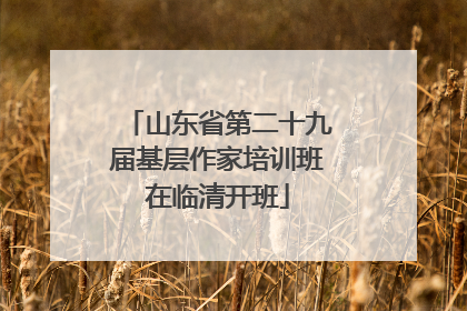 山东省第二十九届基层作家培训班在临清开班