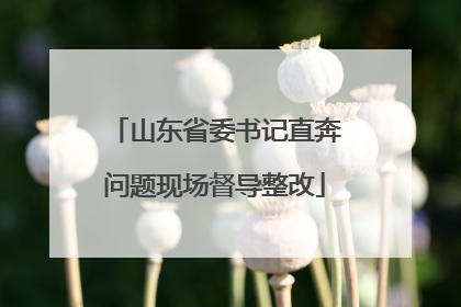 山东省委书记直奔问题现场督导整改