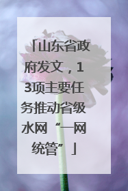 山东省政府发文，13项主要任务推动省级水网“一网统管”