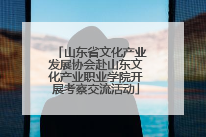 山东省文化产业发展协会赴山东文化产业职业学院开展考察交流活动