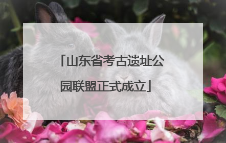 山东省考古遗址公园联盟正式成立