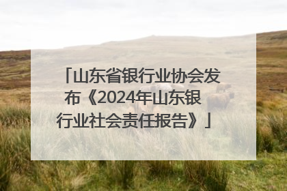 山东省银行业协会发布《2024年山东银行业社会责任报告》