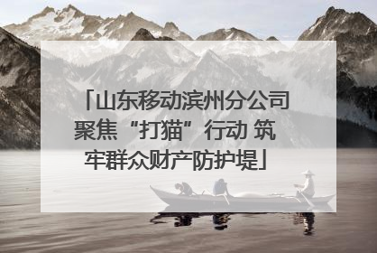 山东移动滨州分公司聚焦“打猫”行动 筑牢群众财产防护堤
