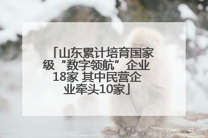山东累计培育国家级“数字领航”企业18家 其中民营企业牵头10家