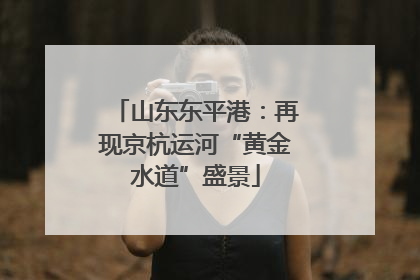 山东东平港：再现京杭运河“黄金水道”盛景