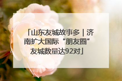 山东友城故事多｜济南扩大国际“朋友圈”友城数量达92对