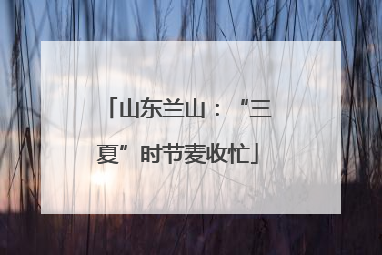 山东兰山：“三夏”时节麦收忙