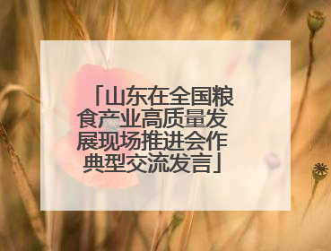 山东在全国粮食产业高质量发展现场推进会作典型交流发言