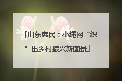 山东惠民：小绳网“织”出乡村振兴新图景