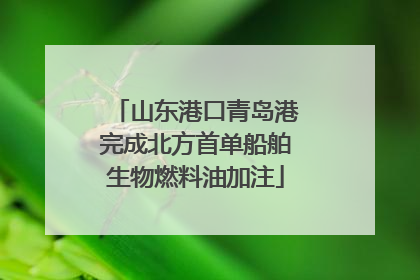 山东港口青岛港完成北方首单船舶生物燃料油加注