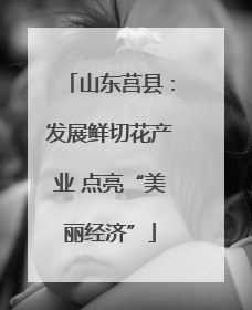 山东莒县：发展鲜切花产业 点亮“美丽经济”