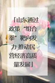山东通过政策“组合拳”靶向发力 推动民营经济高质量发展