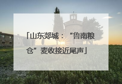 山东郯城：“鲁南粮仓”麦收接近尾声
