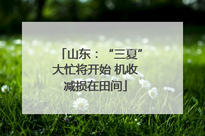 山东：“三夏”大忙将开始 机收减损在田间