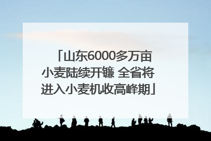 山东6000多万亩小麦陆续开镰 全省将进入小麦机收高峰期