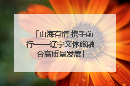 山海有情 携手前行——辽宁文体旅融合高质量发展
