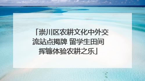 崇川区农耕文化中外交流站点揭牌 留学生田间挥镰体验农耕之乐