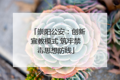 崇阳公安：创新宣教模式 筑牢禁毒思想防线