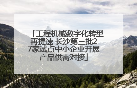 工程机械数字化转型再提速 长沙第三批27家试点中小企业开展产品供需对接