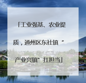 工业强基、农业提质，通州区东社镇“产业兴镇”扛担当