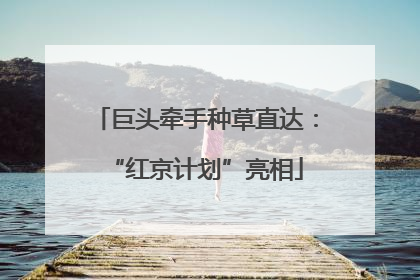 巨头牵手种草直达:“红京计划”亮相