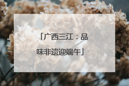 广西三江：品味非遗迎端午