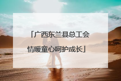 广西东兰县总工会情暖童心呵护成长